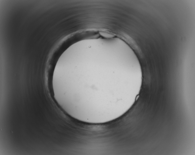 X0000088441188200706191247