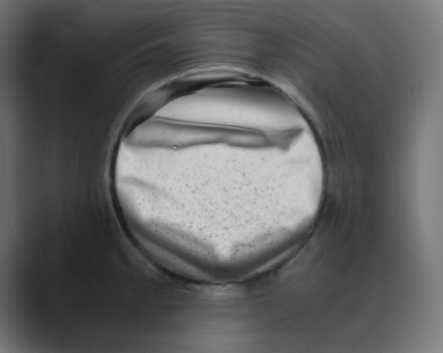 X0000088441189200706191247