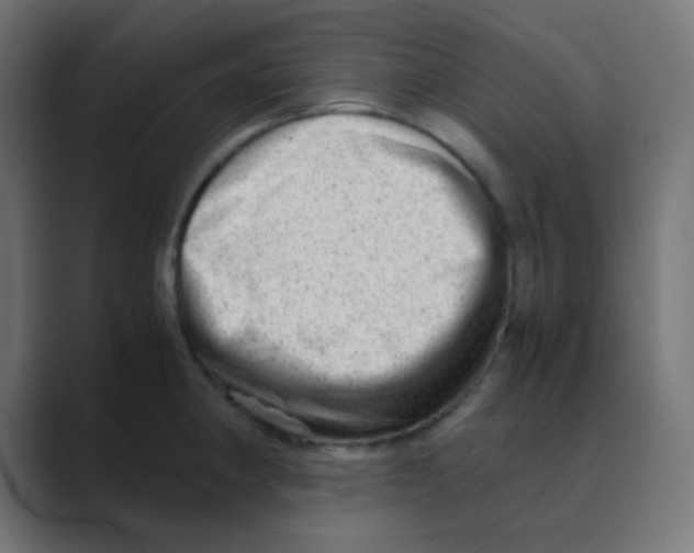 X0000088441190200706191247
