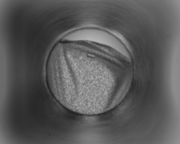 X0000088441191200706191247