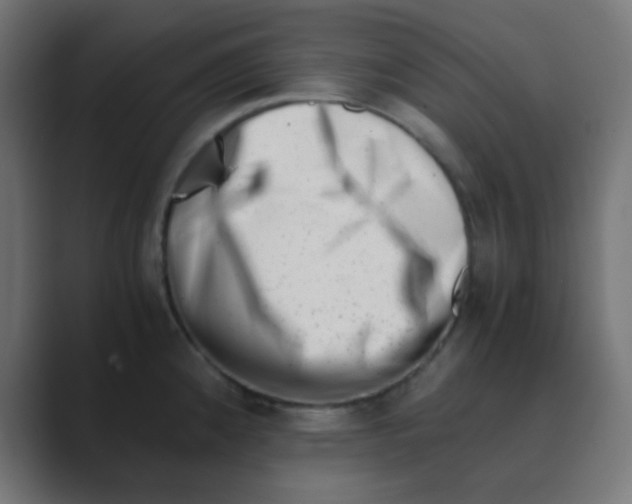 X0000088441192200706191247