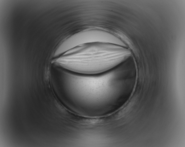 X0000088441193200706191247