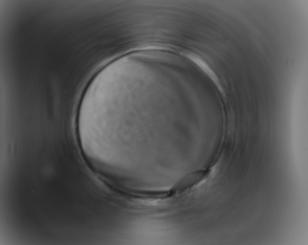 X0000088441197200706191247