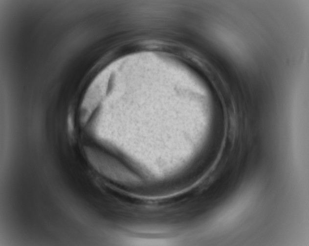 X0000088441198200706191247