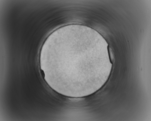 X0000088441200200706191247