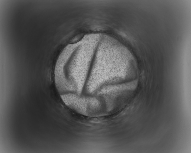 X0000088441205200706191246