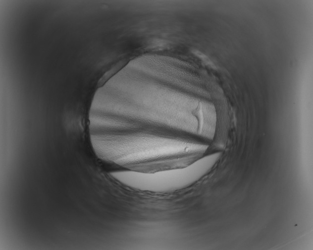 X0000088441206200706191246