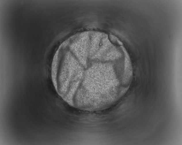 X0000088441207200706191246