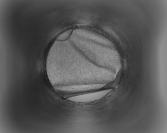 X0000088441208200706191246
