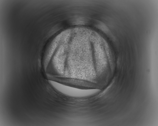 X0000088441209200706191246