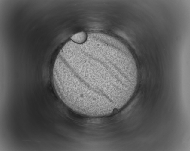 X0000088441211200706191246