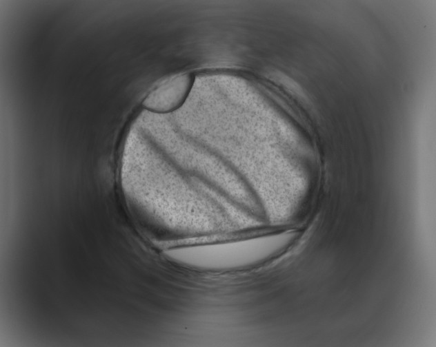 X0000088441212200706191246
