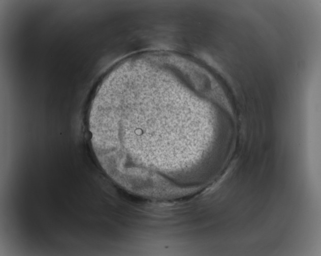X0000088441215200706191246