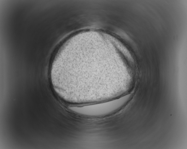 X0000088441216200706191246