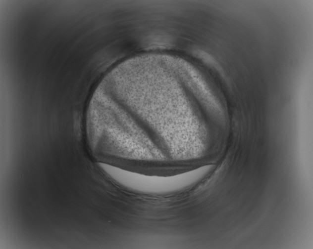 X0000088441217200706191246