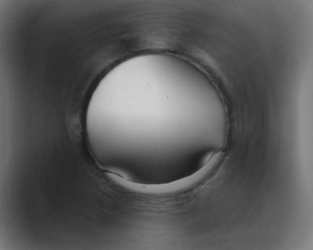 X0000088441218200706191246