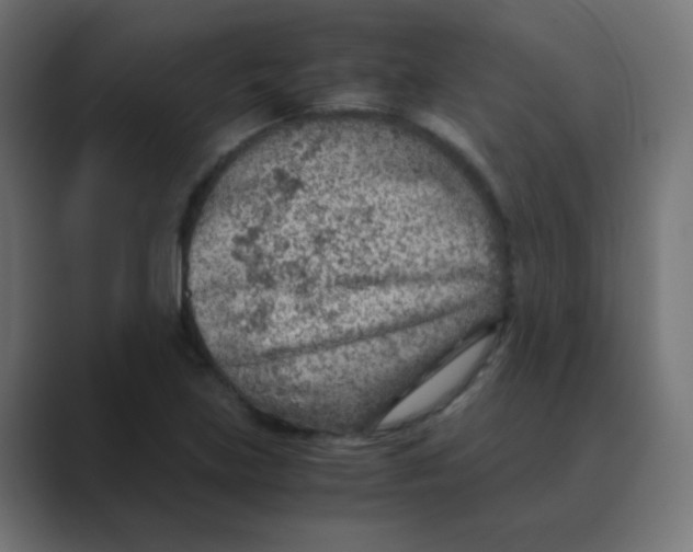 X0000088441219200706191246