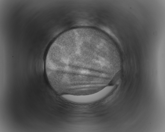X0000088441221200706191246