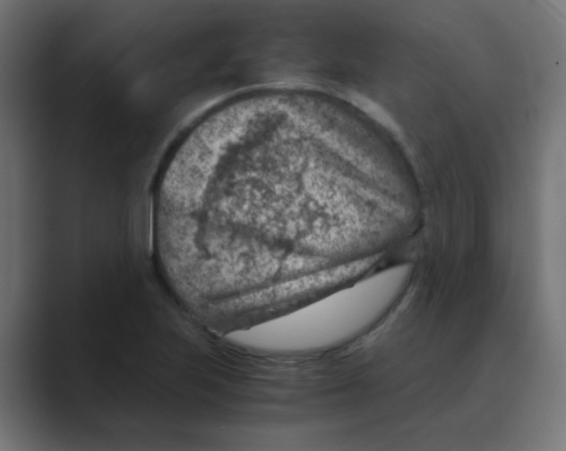 X0000088441223200706191246