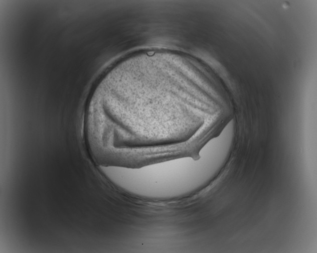X0000088441224200706191247