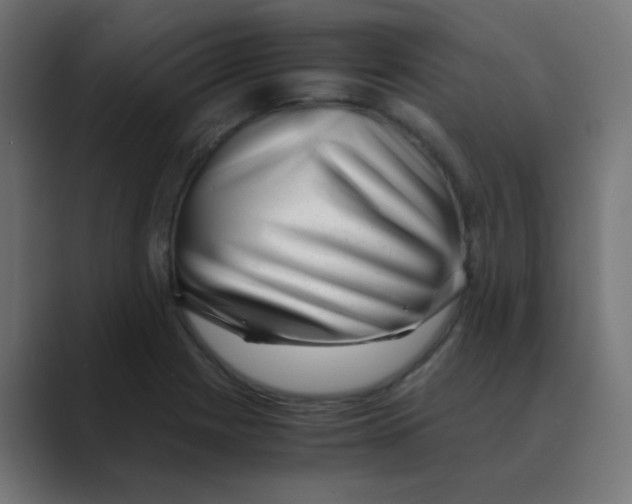 X0000088441225200706191247