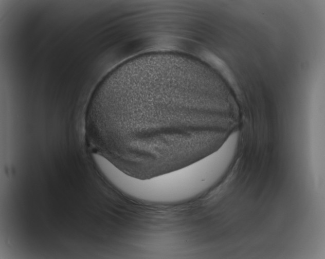 X0000088441226200706191247