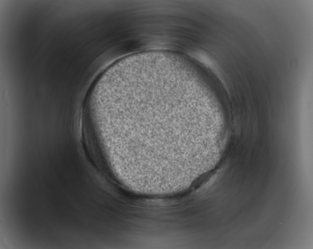 X0000088441227200706191247