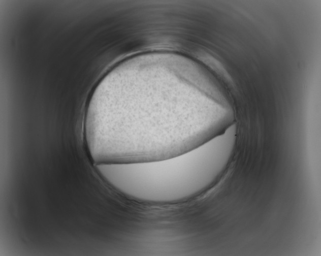 X0000088441228200706191247