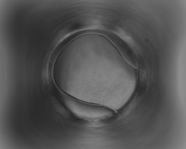 X0000088441230200706191247