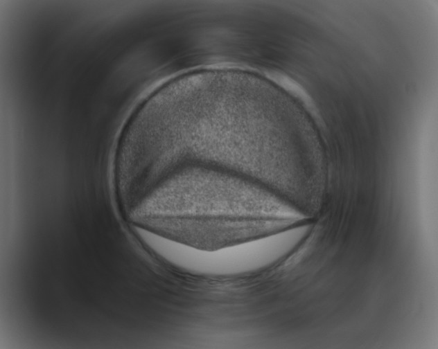 X0000088441231200706191247