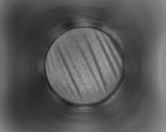 X0000088441233200706191247