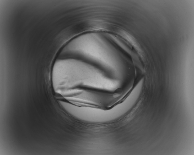 X0000088441234200706191247
