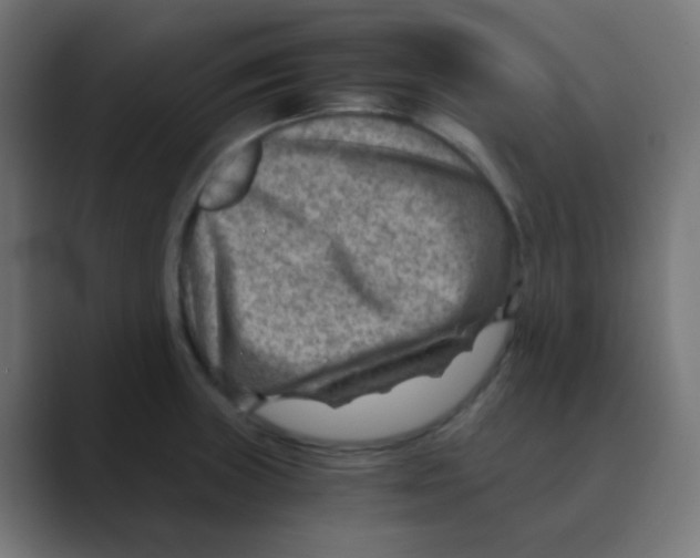 X0000088441235200706191247