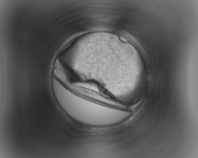 X0000088441236200706191247