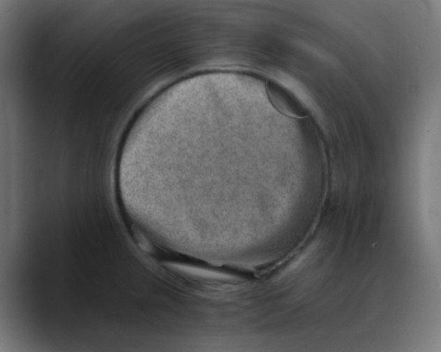 X0000088441237200706191247