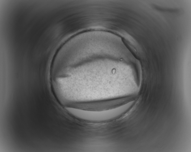 X0000088441240200706191247