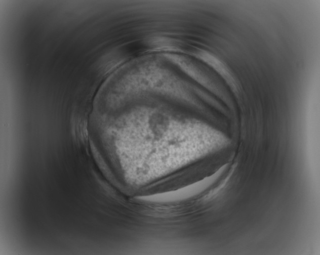 X0000088441241200706191247