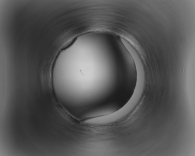 X0000088441242200706191247