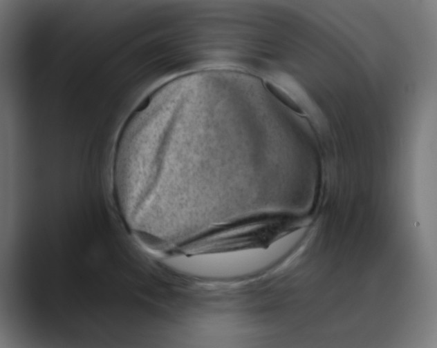 X0000088441244200706191247