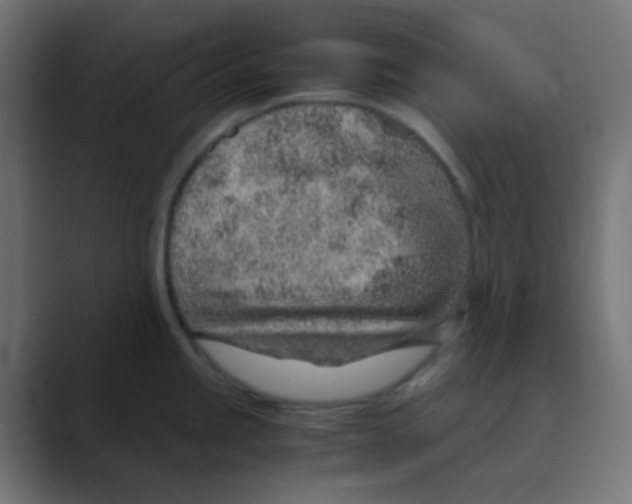 X0000088441245200706191247