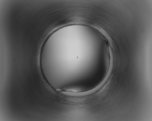 X0000088441246200706191247