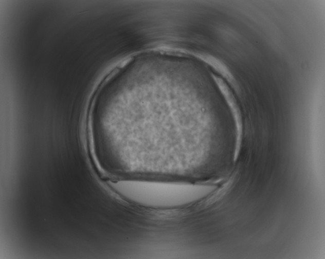 X0000088441247200706191247