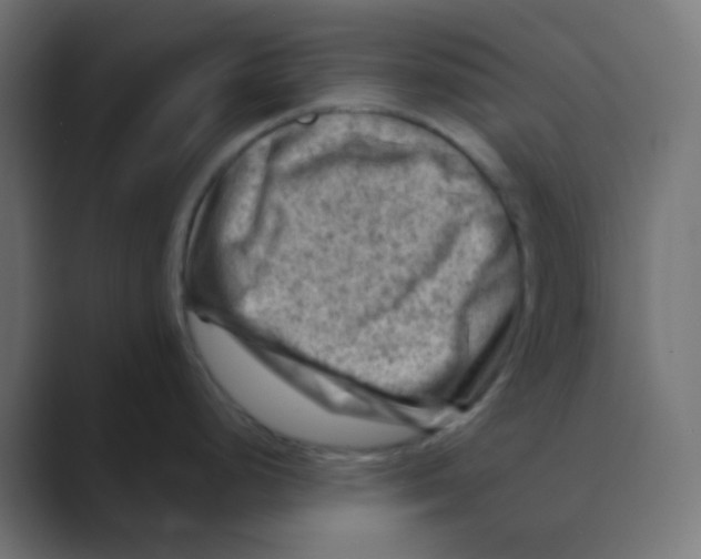 X0000088441248200706191247