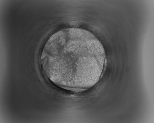 X0000088441249200706191246