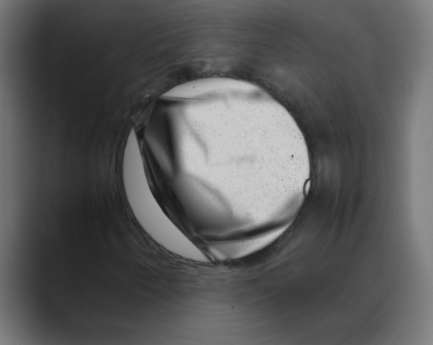 X0000088441250200706191246