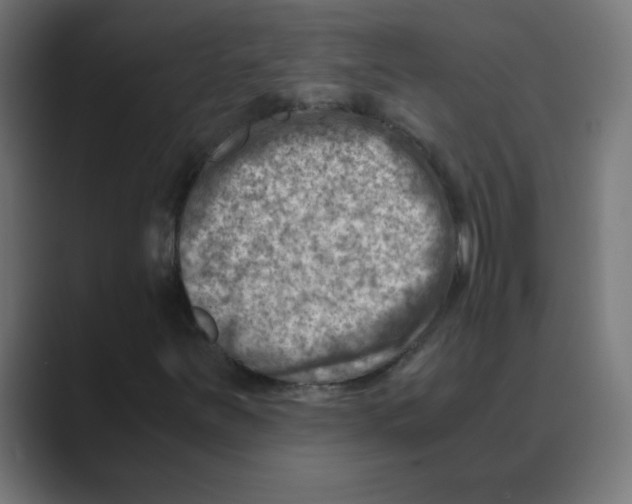 X0000088441251200706191246