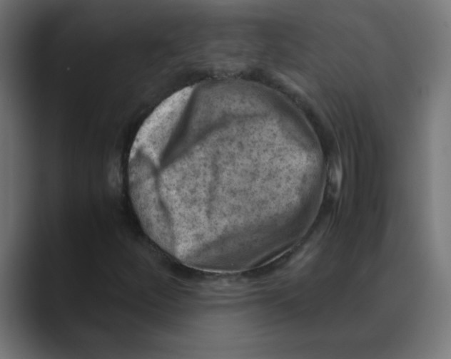 X0000088441252200706191246