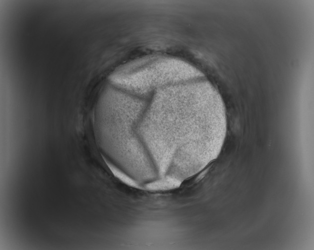 X0000088441253200706191246