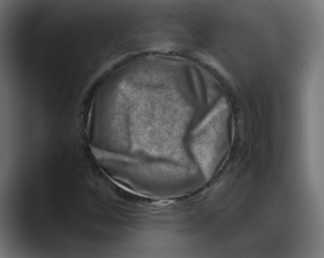 X0000088441256200706191246