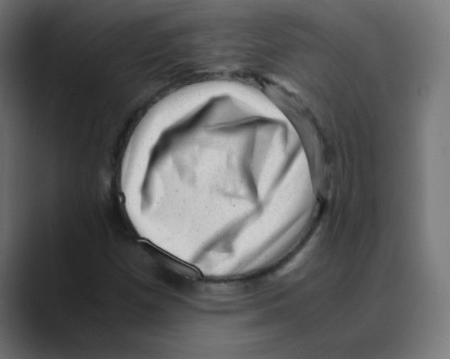 X0000088441257200706191246
